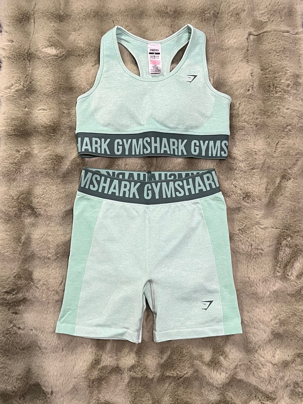 Gymshark Women’s Mint Green Athletic Shorts with Waistband